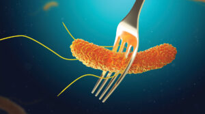 Read more about the article Salmonella is not a food ingredient!